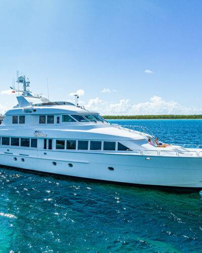 Aerial view: large luxury yacht anchored near island.